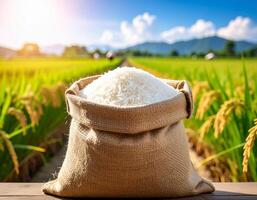 Rice in bag on wooden table in rice field photo