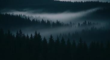 A dark forest with trees and fog photo