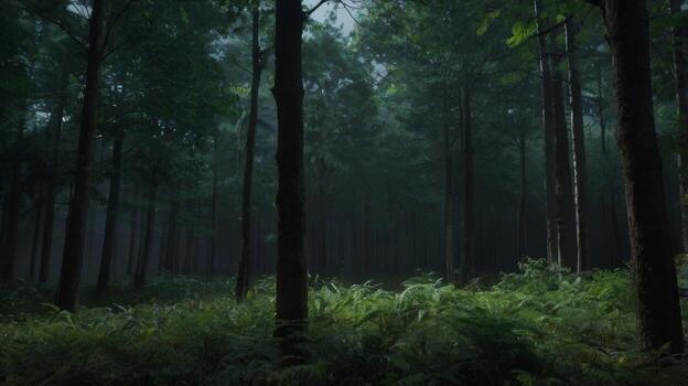 Misty Morning in a Dense Forest with Ferns and Towering Treescape photo