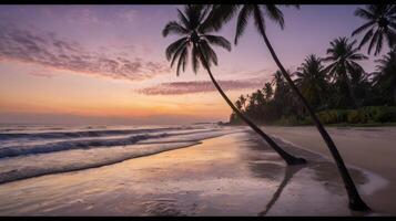 Idyllic tropical beach at sunset with palm trees and calm ocean waves photo