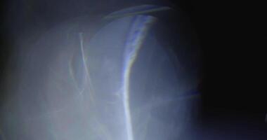 Natural Light Leak Effect for Creative Projects 06 video
