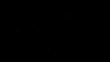 Natural Particles Background 06 video