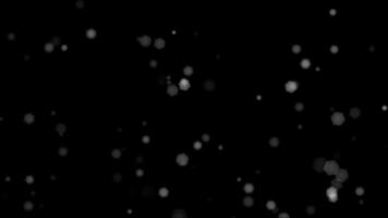Natural Particles Background 03 video