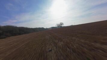 Dynamic FPV drone flying over fields and woodlands in winter light video