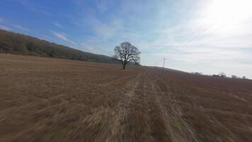 FPV drone sweeping close to trees and fields in rural winter landscape video