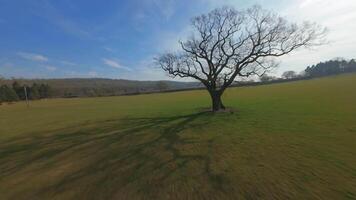 Speed FPV drone flying near tree branches over winter farmland views video