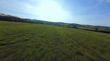 Aerial fast FPV drone sweeping over rural winter trees and fields video