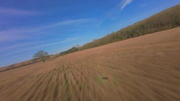 Dynamic FPV drone flying fast through rural trees in early spring video