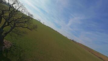 Speedy FPV drone flight close to trees and green fields in spring video