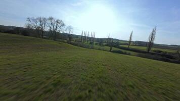 Rapid FPV aerial views of winter rural fields and tree groves video