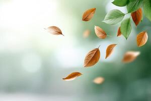 Vibrant leaves floating gracefully in a serene atmosphere surrounded by a soft blurred background photo