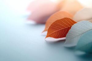 Colorful animal-shaped leaves create a captivating focal point in a serene setting photo