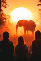 Wildlife observers witness the impact of habitat loss on animals during a stunning sunset photo