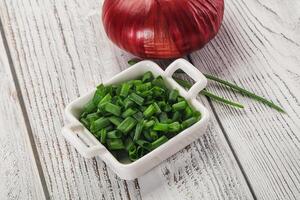 A white bowl with chopped green onions and a red onion photo