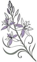 Close-up of the Camassia Flower arranged beautifully and decorated with vines vector