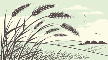 Wheat field with a blue sky and some clouds, the wheat is brown and the sky is light blue, with some hills in the background vector