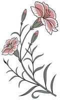 Close-up of the Dianthus Flower arranged beautifully and decorated with vines vector