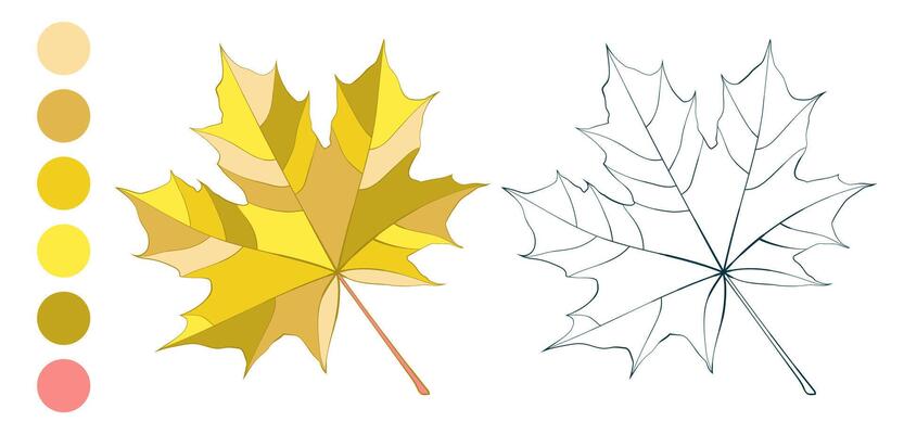 Hand-drawn gold autumn colored maple leaf isolated on white background. Flat and line style illustration.