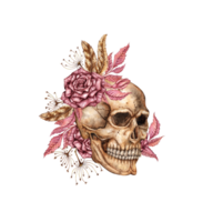 Human skull realistic profile with dark red roses and dried flowers watercolor illustration. Bones in gothic style. Day of the Dead, Halloween, Dia de los muertos. Isolated. Symbolism life and death. png