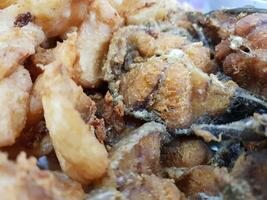A close up of fried fish and onion rings photo
