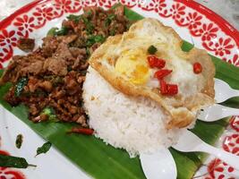 A plate of food with rice and meat on it photo