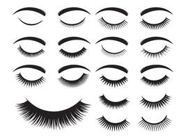 Collection of Black Eyelashes and Eyebrows on White Background beauty makeup vector