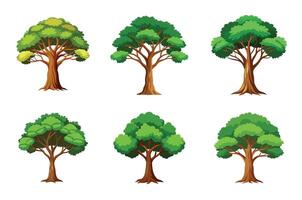 Collection of Six Cartoon Trees with Varied Leaf Shades and Shapes vector