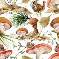 Watercolor mushrooms and snails illustration vector