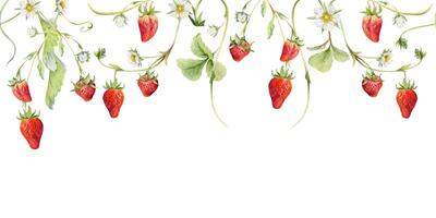 Watercolor strawberries and flowers arrangement vector