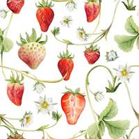 Watercolor strawberries and flowers pattern vector