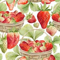 Colorful watercolor strawberries in baskets vector