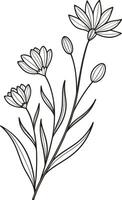 Black and white line art floral illustration flower vector
