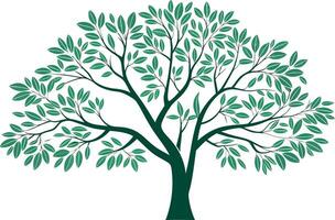 Dark green tree with many leaves illustration nature vector