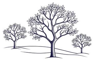 Three dark blue line art trees on white background vector