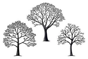 Three black tree outlines on white background trees vector