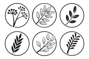 Six black botanical icons in circles on white background vector
