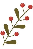 Autumn Green Branch with Red Berries for Nature and Decoration vector