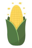 Ripe Sweet Corn Vegetable Isolated Icon for Healthy Food and Harvest vector