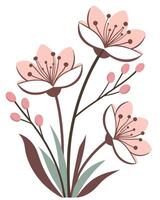 Pink cherry blossoms with brown stems and green leaves vector