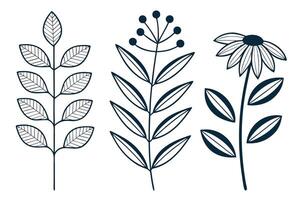 Three dark blue botanical illustrations on white background vector