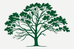Green tree silhouette with intricate branches and leaves vector