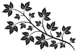Black vine with leaves silhouette on white background vector