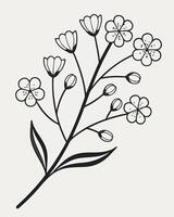Black and white line drawing of a blooming branch flower vector