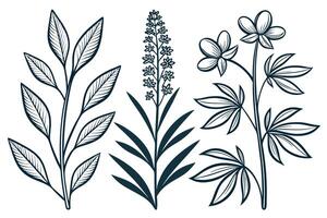 Dark blue line art floral elements on white background vector