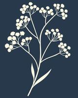 Creamy white Queen Anne's Lace silhouette on dark blue background vector