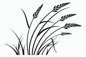 Black silhouette of wheat stalks and grass grain agriculture vector