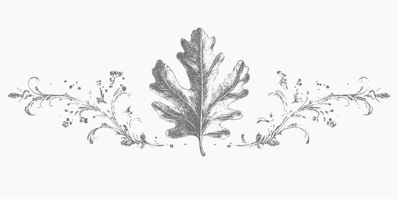 Leaf surrounded by a line. Classic stipple artwork with scattered halftone grain, xerox noise and bold threshold contours for prints.