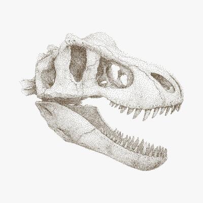 Dinosaur skull with a large mouth. Rough stipple illustration with halftone dot texture, noisy photocopy grain, vintage print effect.