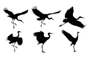 Elegant Silhouette Collection Cranes in Varied Poses against a White Background Evoking Graceful Movement and Natural Beauty vector