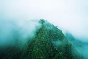 Lush Green Mountain Peak Obscured by Dense Mist and Atmospheric Haze. photo
